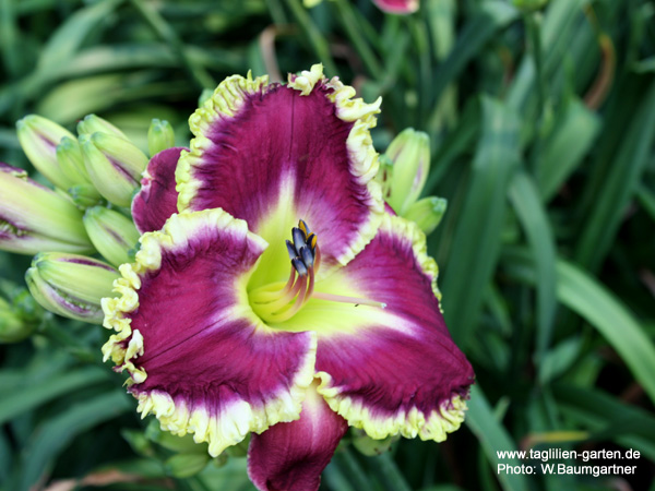 catalog/images/startseite/Magical Marrakech.jpg